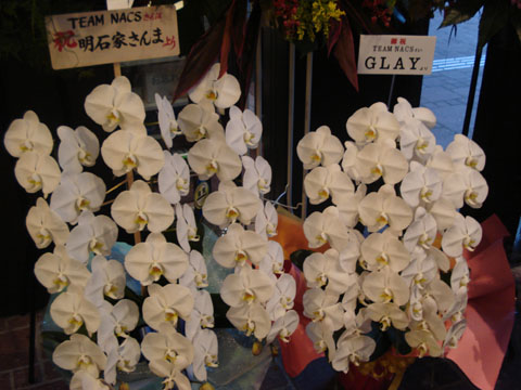 20120601hana3.jpg