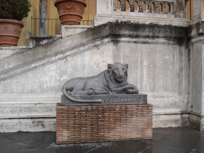 ita_vati_lion.jpg